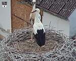 Capi_Dubne_20260721_164502.jpg