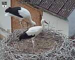 Capi_Dubne_20260721_165002.jpg