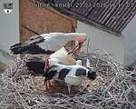 Capi_Dubne_20260721_171503.jpg