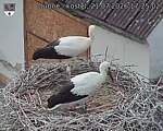 Capi_Dubne_20260721_172502.jpg