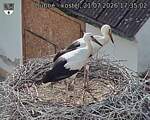 Capi_Dubne_20260721_173502.jpg