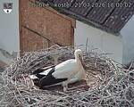 Capi_Dubne_20260721_180002.jpg