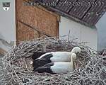 Capi_Dubne_20260721_182503.jpg