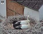 Capi_Dubne_20260721_183002.jpg