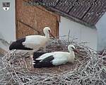 Capi_Dubne_20260721_183502.jpg