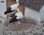 Capi_Dubne_20260721_184502.jpg