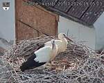 Capi_Dubne_20260721_190503.jpg
