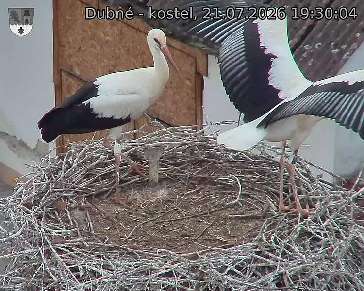 preload