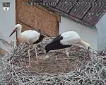 Capi_Dubne_20260721_200503.jpg