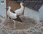 Capi_Dubne_20260721_201003.jpg