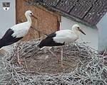Capi_Dubne_20260721_201502.jpg