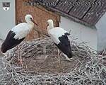 Capi_Dubne_20260721_202003.jpg