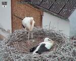 Capi_Dubne_20260721_204503.jpg