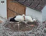 Capi_Dubne_20260722_102503.jpg