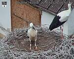 Capi_Dubne_20260722_104004.jpg