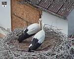 Capi_Dubne_20260722_124002.jpg
