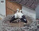 Capi_Dubne_20260722_124503.jpg