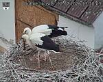 Capi_Dubne_20260722_132003.jpg