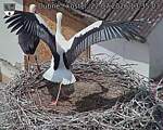 Capi_Dubne_20260722_133503.jpg