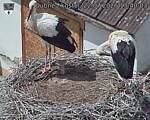 Capi_Dubne_20260722_134003.jpg
