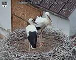 Capi_Dubne_20260722_135003.jpg