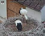 Capi_Dubne_20260722_141003.jpg