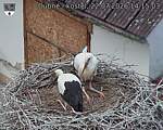Capi_Dubne_20260722_141503.jpg