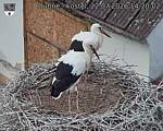 Capi_Dubne_20260722_142002.jpg