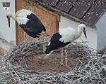 Capi_Dubne_20260722_142503.jpg