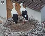 Capi_Dubne_20260722_144502.jpg