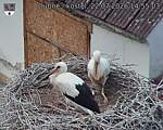 Capi_Dubne_20260722_145503.jpg