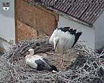 Capi_Dubne_20260722_150502.jpg