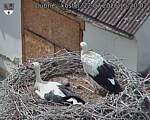 Capi_Dubne_20260722_152002.jpg