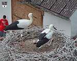 Capi_Dubne_20260722_153002.jpg