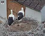 Capi_Dubne_20260722_160502.jpg