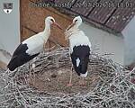 Capi_Dubne_20260722_161003.jpg