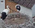 Capi_Dubne_20260722_162503.jpg