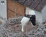 Capi_Dubne_20260722_163502.jpg