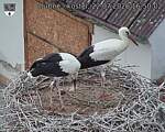 Capi_Dubne_20260722_165002.jpg