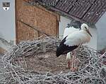 Capi_Dubne_20260722_165503.jpg