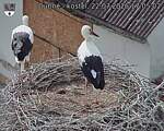 Capi_Dubne_20260722_170502.jpg