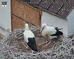 Capi_Dubne_20260722_172003.jpg