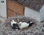 Capi_Dubne_20260722_172504.jpg