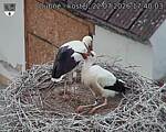 Capi_Dubne_20260722_174003.jpg