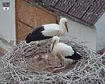 Capi_Dubne_20260722_174503.jpg