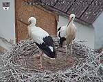 Capi_Dubne_20260722_175003.jpg
