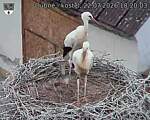 Capi_Dubne_20260722_182003.jpg