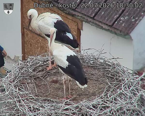 preload
