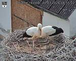 Capi_Dubne_20260722_185502.jpg