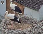 Capi_Dubne_20260722_190003.jpg